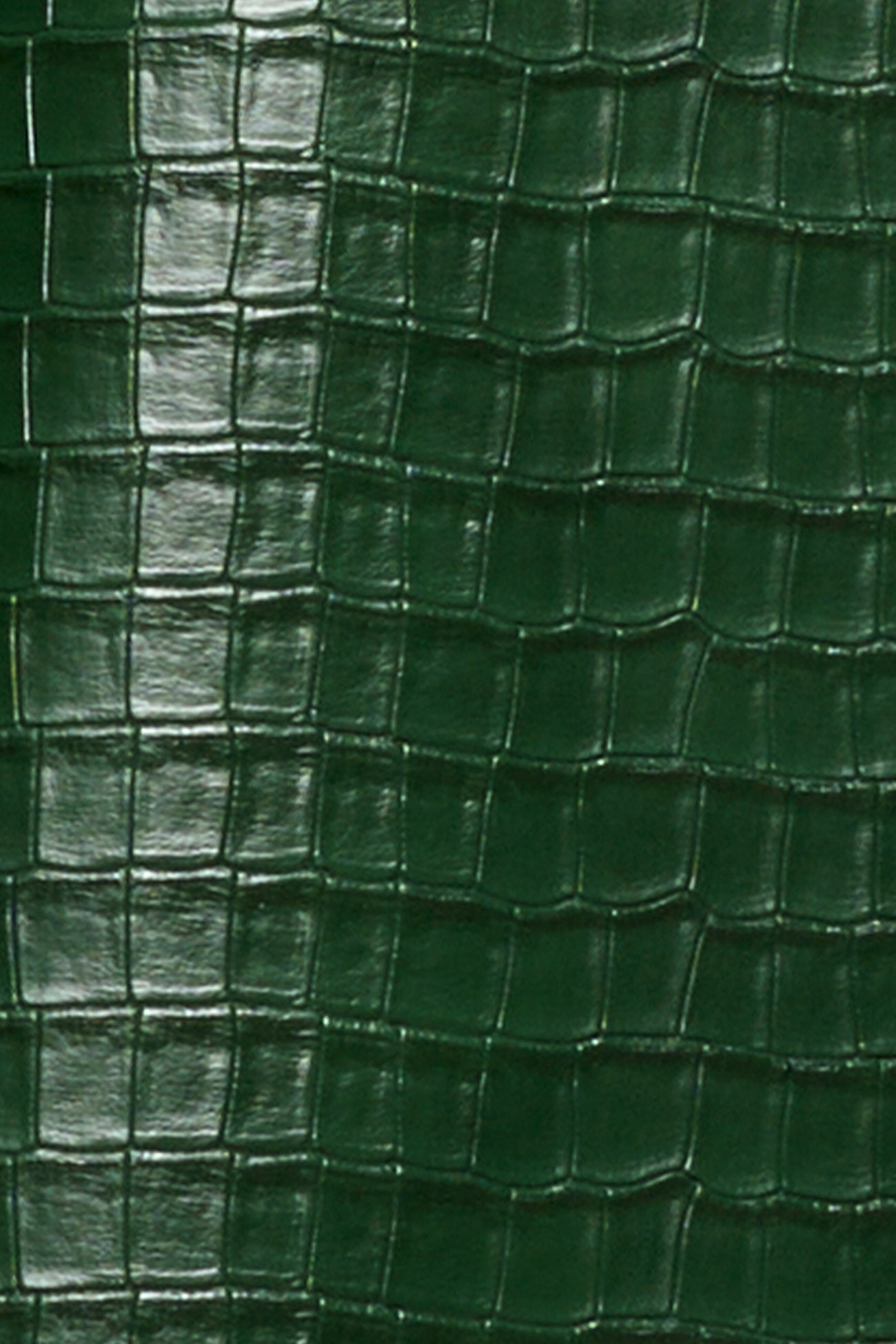 embossed effect detail